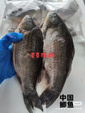 冷冻鲫鱼 Frozen Crucian Carp