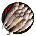 黄花鱼（小）Frozen Yellow Croaker (Small)