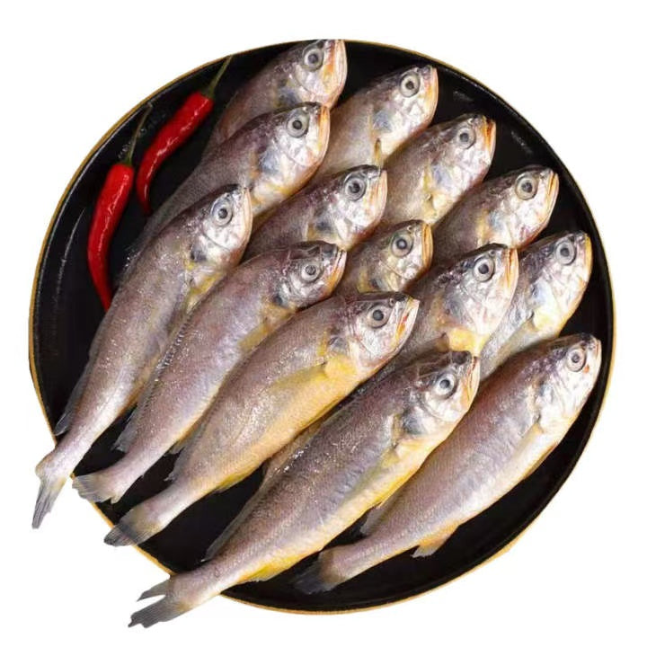黄花鱼（小）Frozen Yellow Croaker (Small)