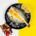 黄花鱼（中）Frozen Yellow Croaker (Medium)
