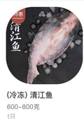 清江鱼 Frozen Qingjiang Fish (600g-800g)