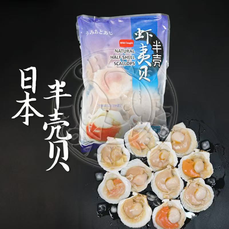 半壳贝（扇贝）Frozen Half Shell Scallops