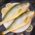 黄花鱼（大) Frozen Yellow Croaker (Large)