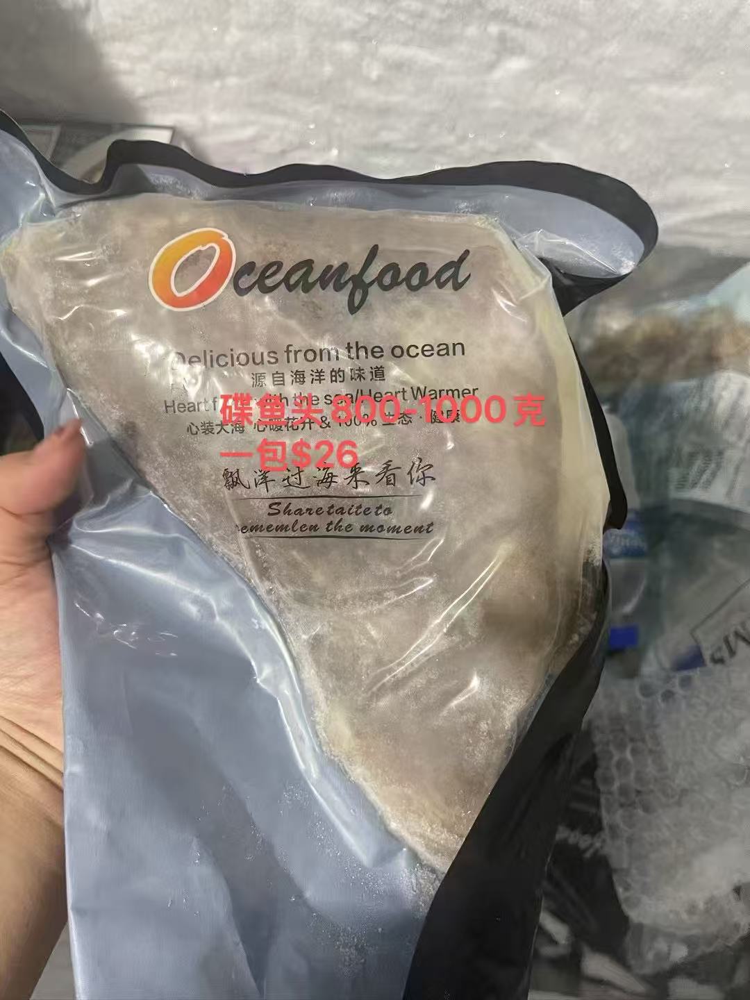 碟头鱼 Frozen Discfish (0.8-1kg)