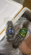 海参 Frozen Wild Sea Cucumber