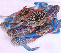 花蟹 Flower Crab (1kg)