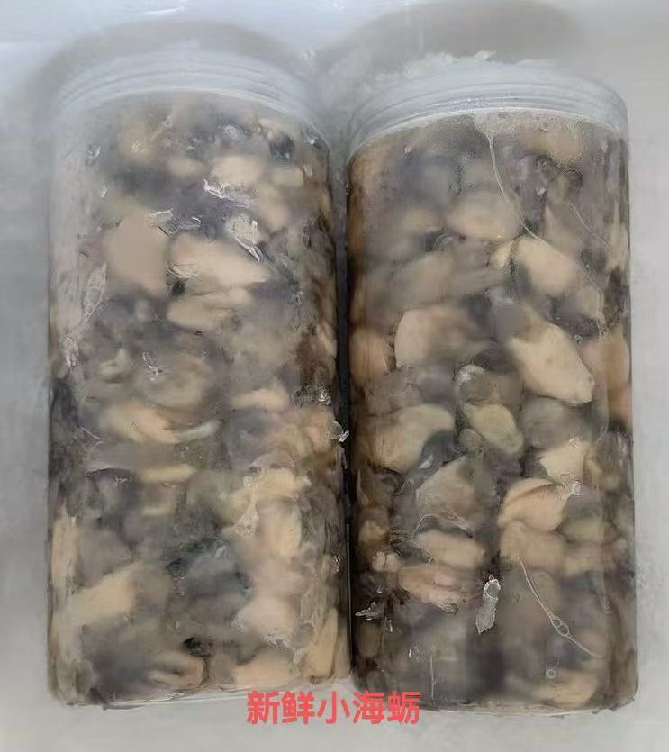 莆田小海蛎 Fresh Baby Oysters
