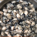 小海蛎(罐)
